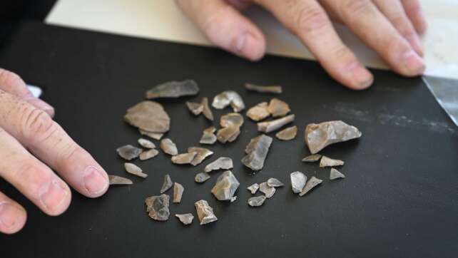 13.000 Jahre alte Steinzeitfunde in Düsseldorf