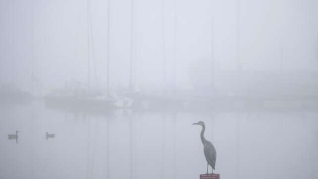 Temperaturen unter fünf Grad und Nebel