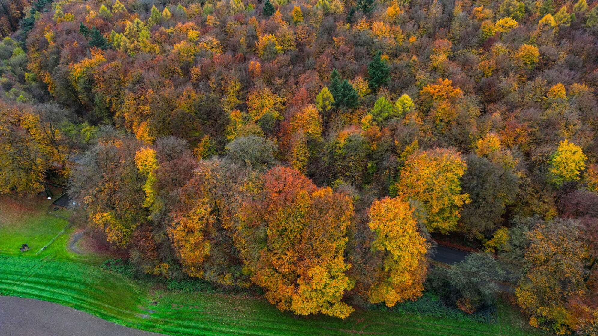 Der Reichswald am Niederrhein