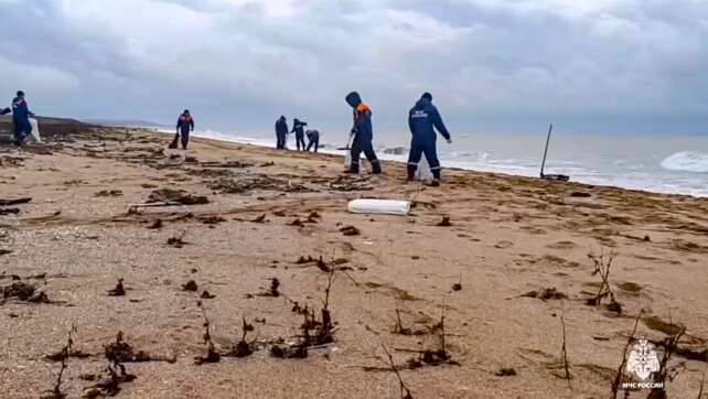 Immer mehr Delfine verenden wegen Ölpest im Schwarzen Meer