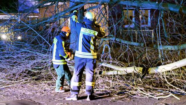 Sturm weht Bäume um: Zuglinien in NRW gesperrt