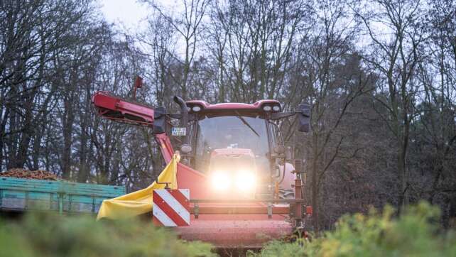 Aussaat: NRW-Landwirte mit Herbst und Winter zufrieden