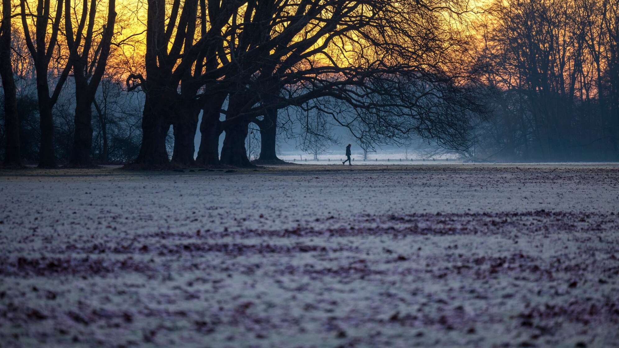 Morgens in Köln