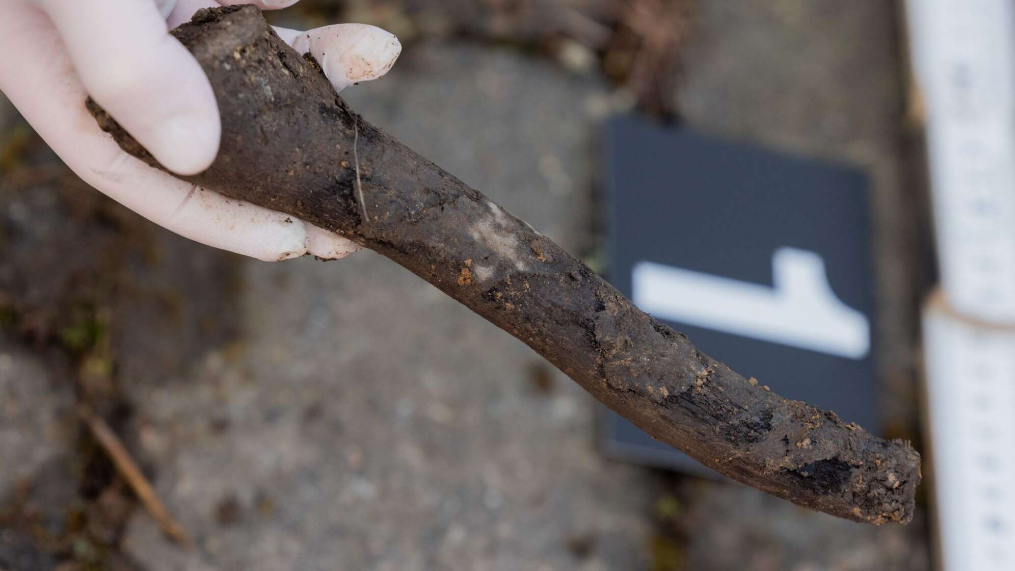 Jahrzehntealte menschliche Knochen auf Baustelle gefunden