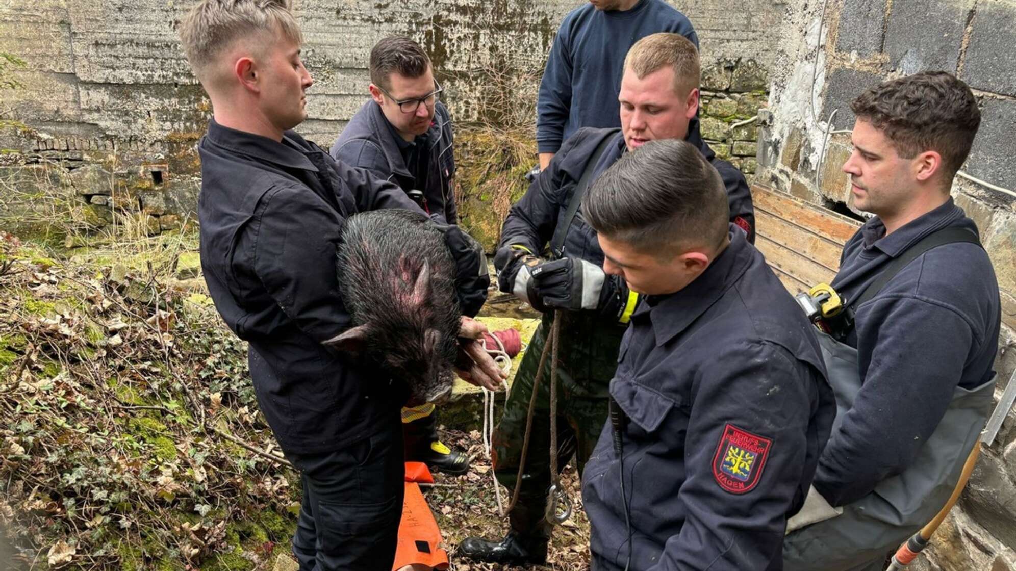 Feuerwehr-Azubis retten Hausschwein aus Bach