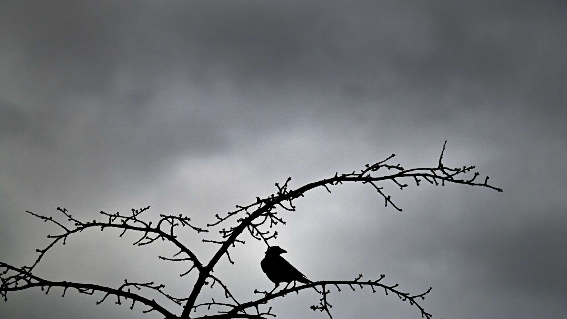 Grauer Himmel, Wind und Regen in Nordrhein-Westfalen