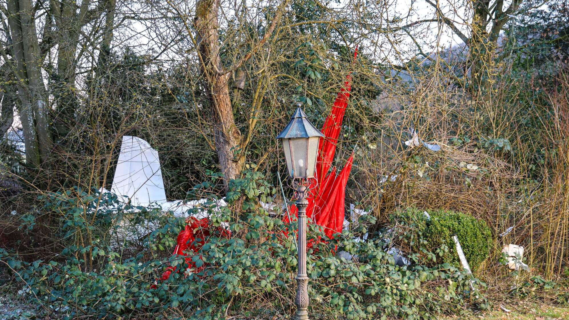 Kleinflugzeug stürzt in Garten