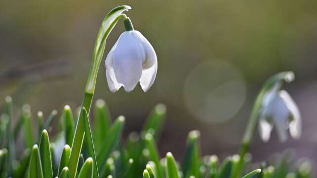 Mildes Frühlingswetter in NRW