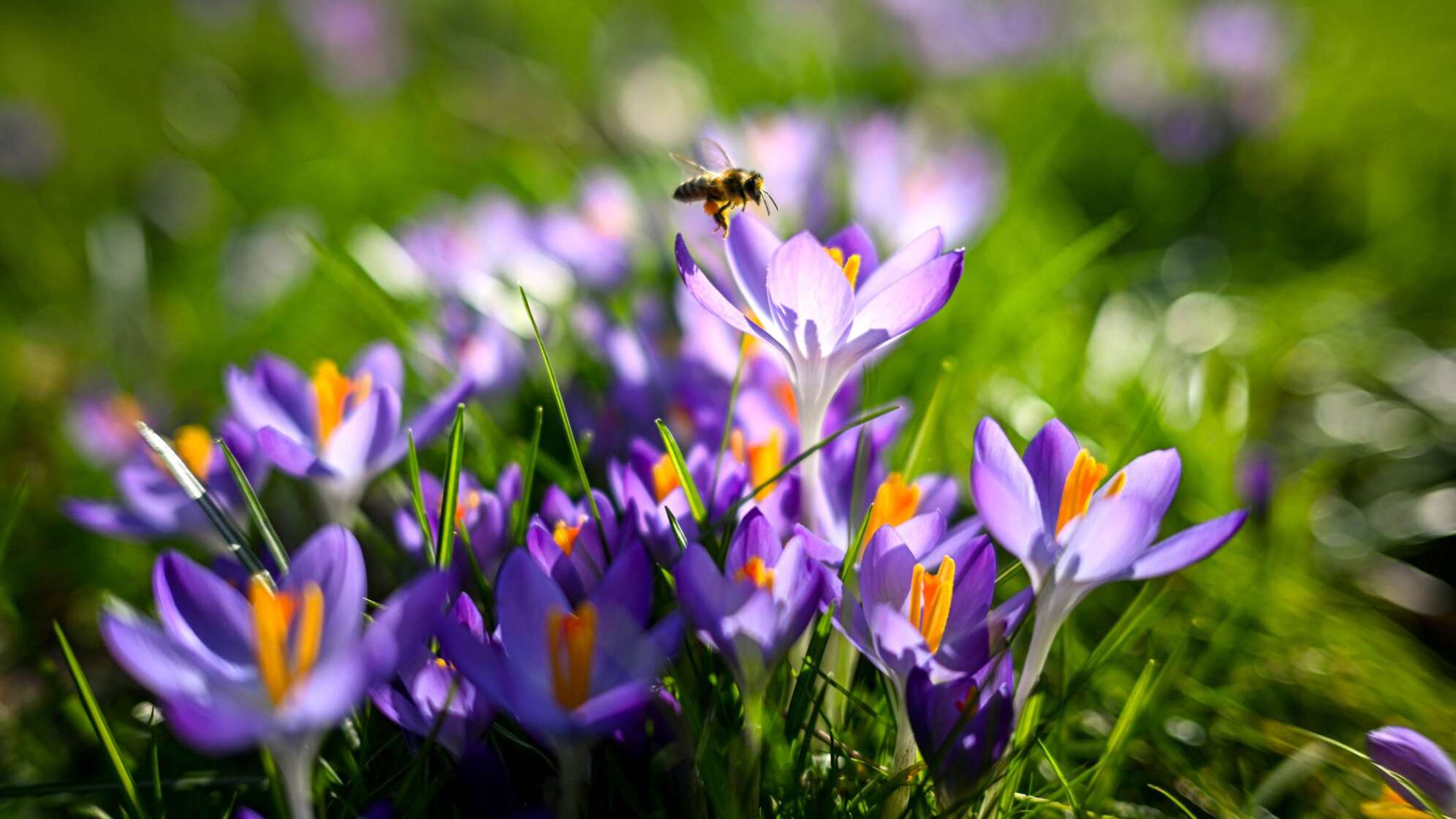 Frühlingshaftes Wetter