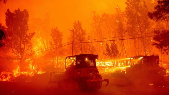Verheerende Waldbrände verwüsten Jasper-Nationalpark