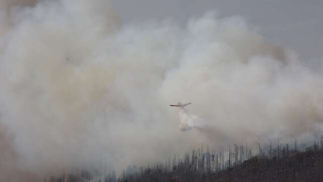 Waldbrand im Harz - 500 Menschen werden vom Brocken geholt