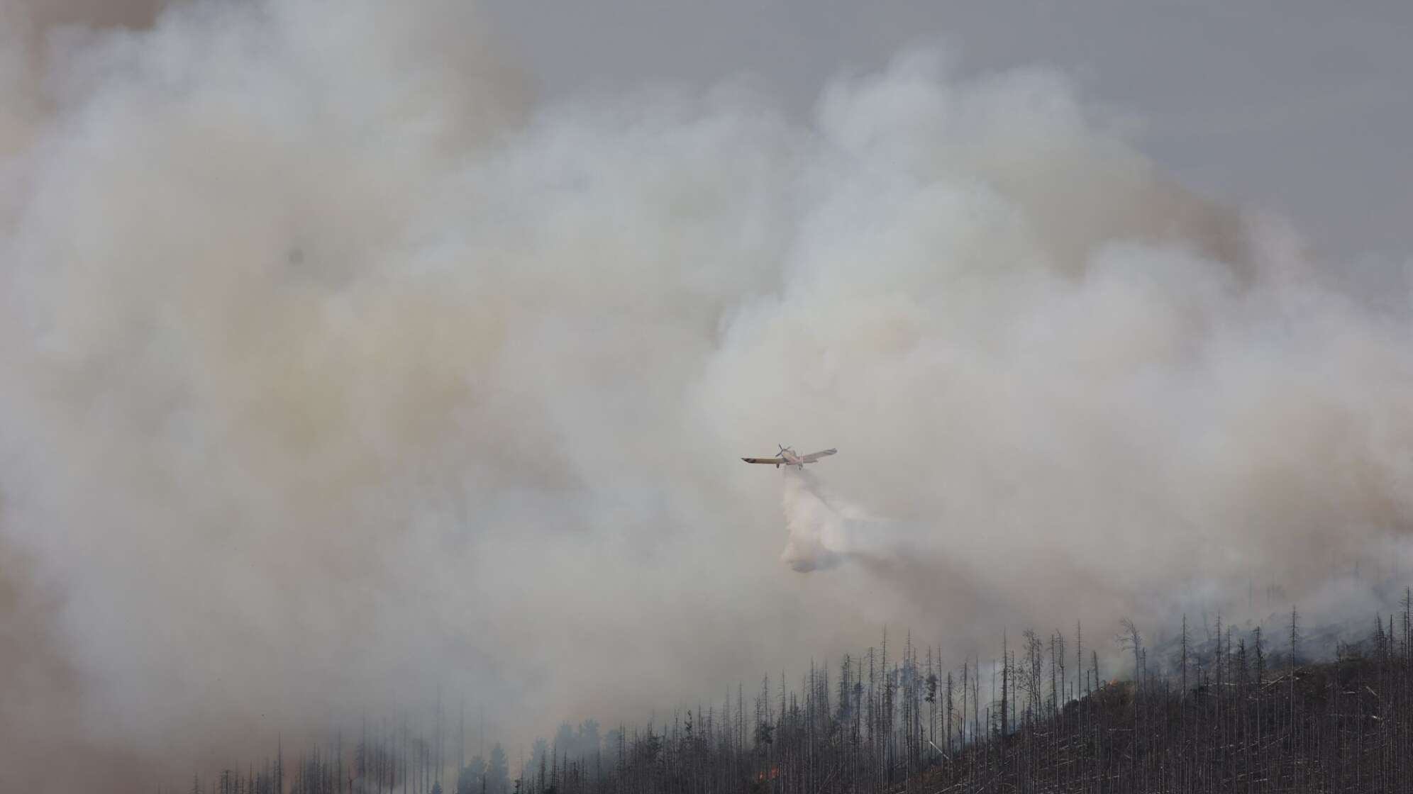 Brand am Königsberg im Harz