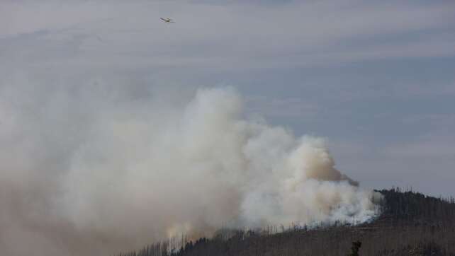 Große Feuerfront am Brocken im Harz