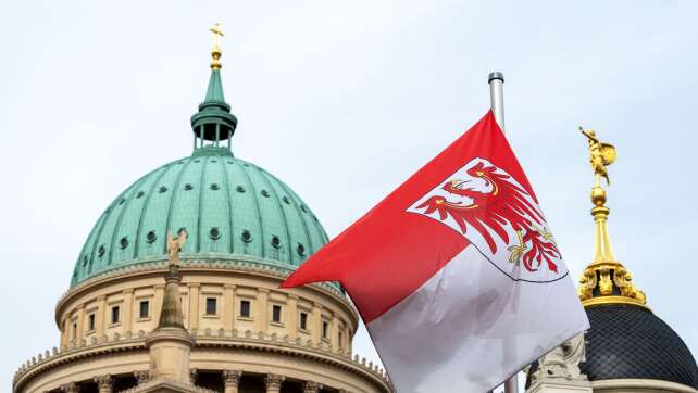 Brandenburg-Umfragen: AfD vor SPD - Gute Noten für Woidke