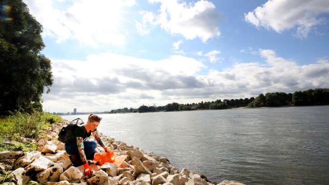 Zehntausende Freiwillige zum «Rhine Clean Up» erwartet