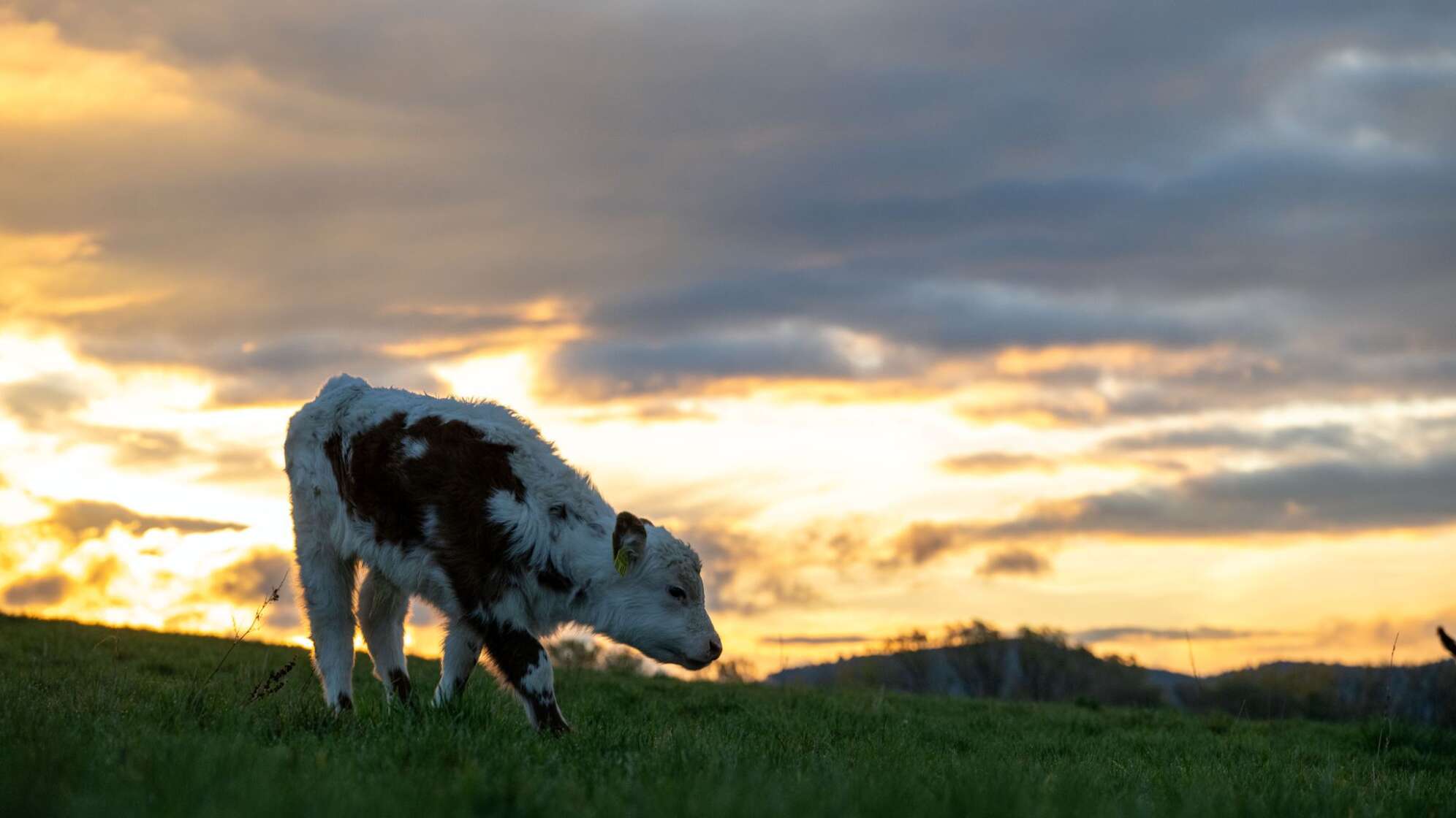 Wetter in Bayern