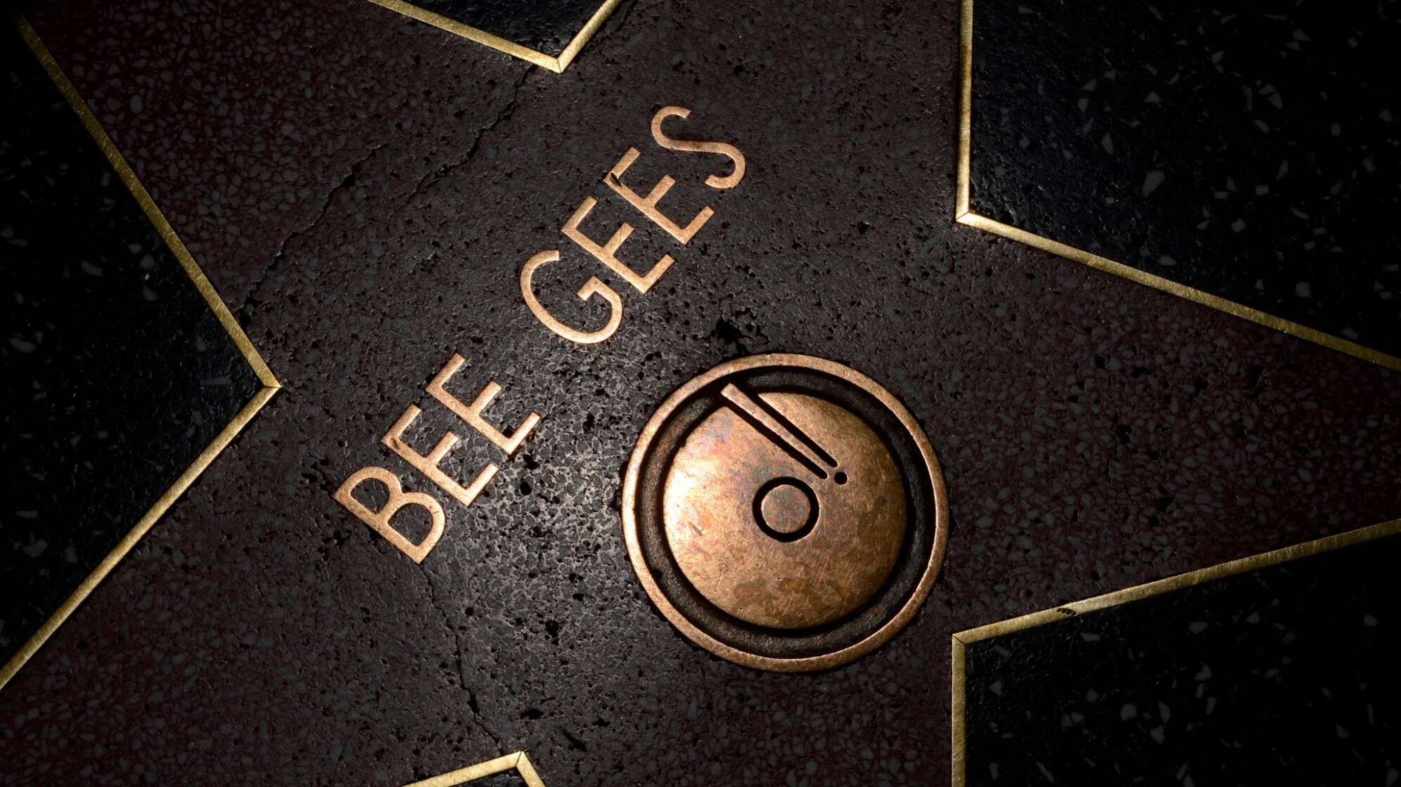 Flowers placed on Bee Gees star on Hollywood Walk of Fame