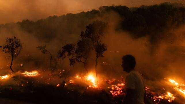 Bericht: 2023 eines der schlimmsten Waldbrandjahre in Europa