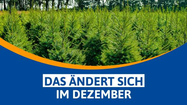 Steuern, Ladekabel und Preise: Das ändert sich im Dezember in NRW