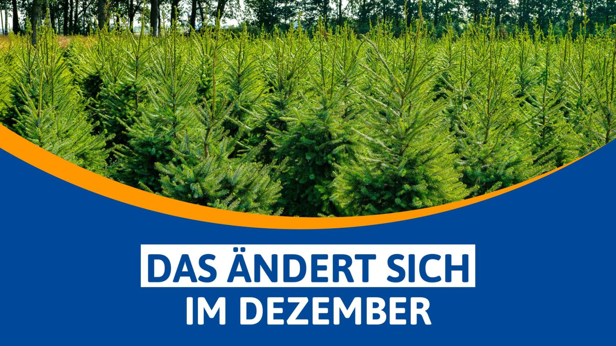 Dezember