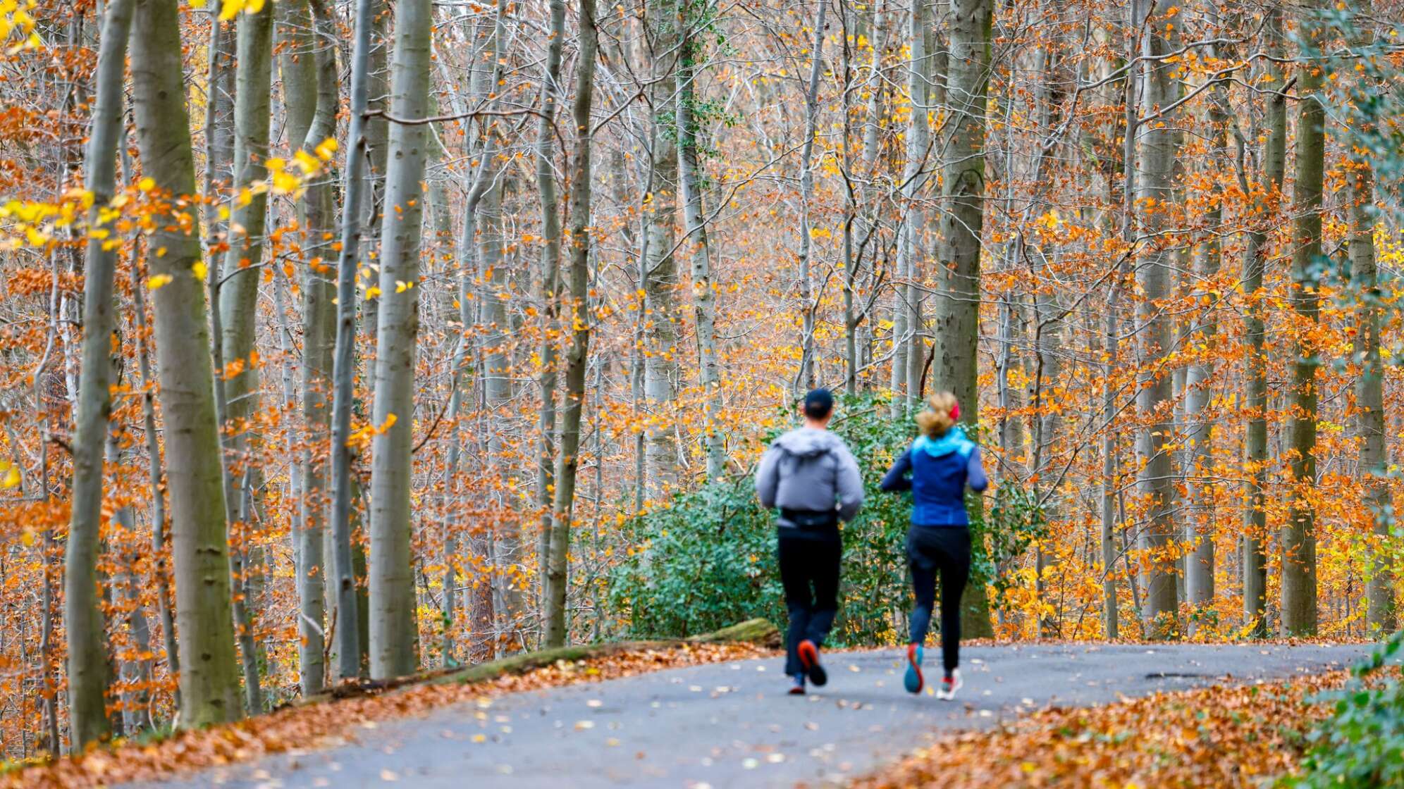 Wetter in Nordrhein-Westfalen